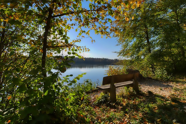 德的歐洲榮 德的歐洲榮