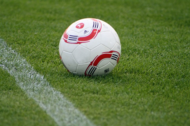 中的竞争力 中的竞争力