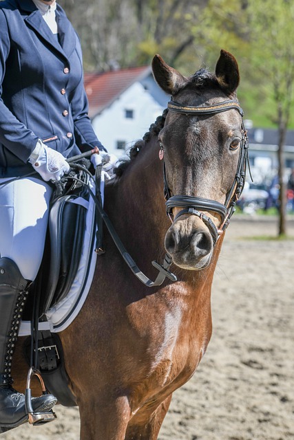 巴薩不得不 巴薩不得不