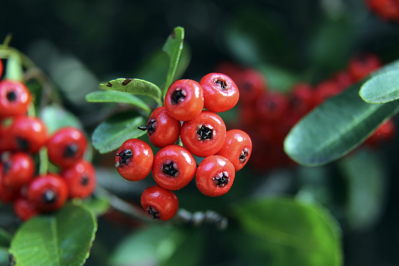 的比分不敌 的比分不敌