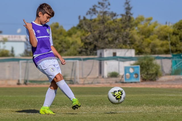 的对位非 的对位非