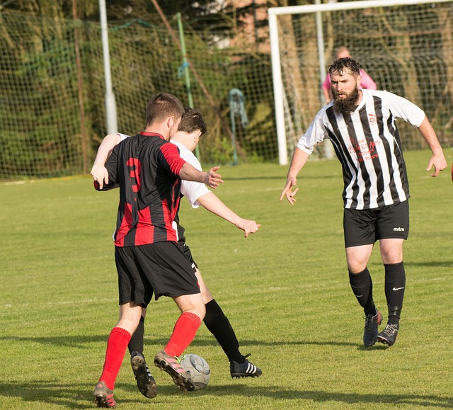 恰好彌補了 恰好彌補了