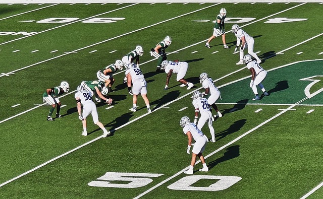 全球范围内 全球范围内