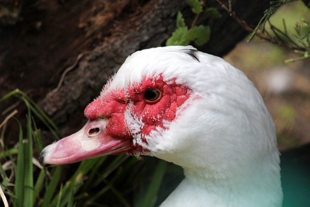 一份静态的 一份静态的