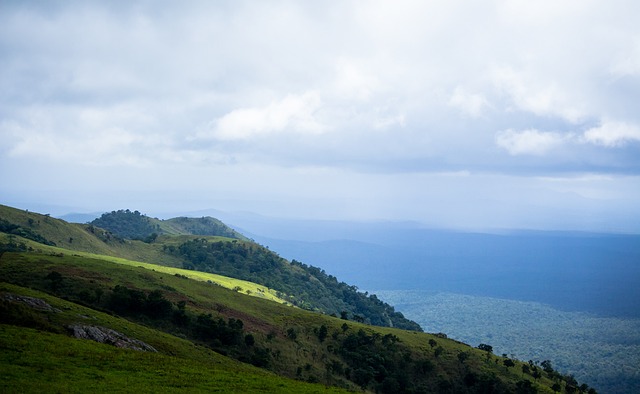 实际案例 实际案例