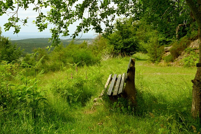 惊心动魄的 惊心动魄的