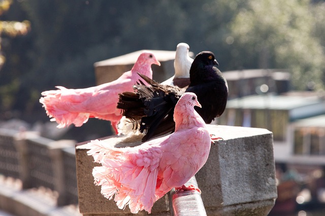 这不仅让粉 这不仅让粉